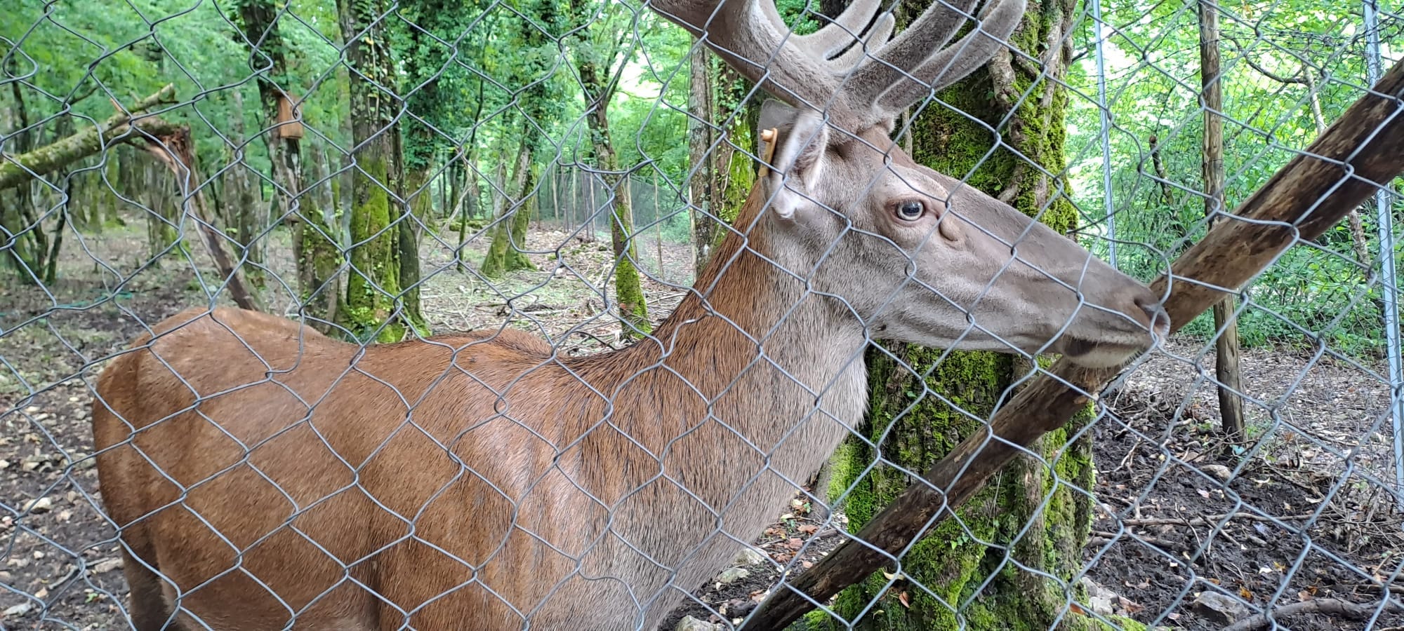 Visita all’Oasi WWF di Campochiaro-Guardiaregia