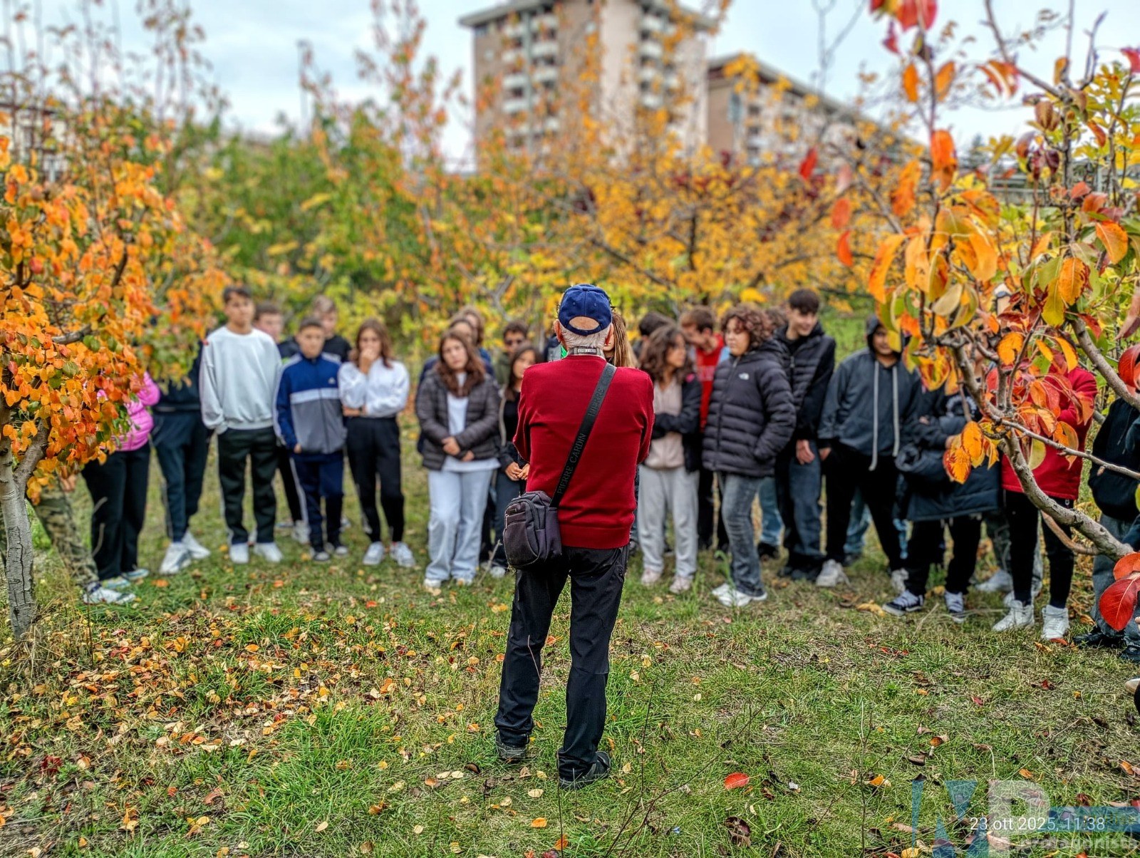 Foliage e degustazione mele: grande partecipazione agli incontri didattici dell’Associazione di quartiere “Vivi Colle dell’Orso Odv-ETS”