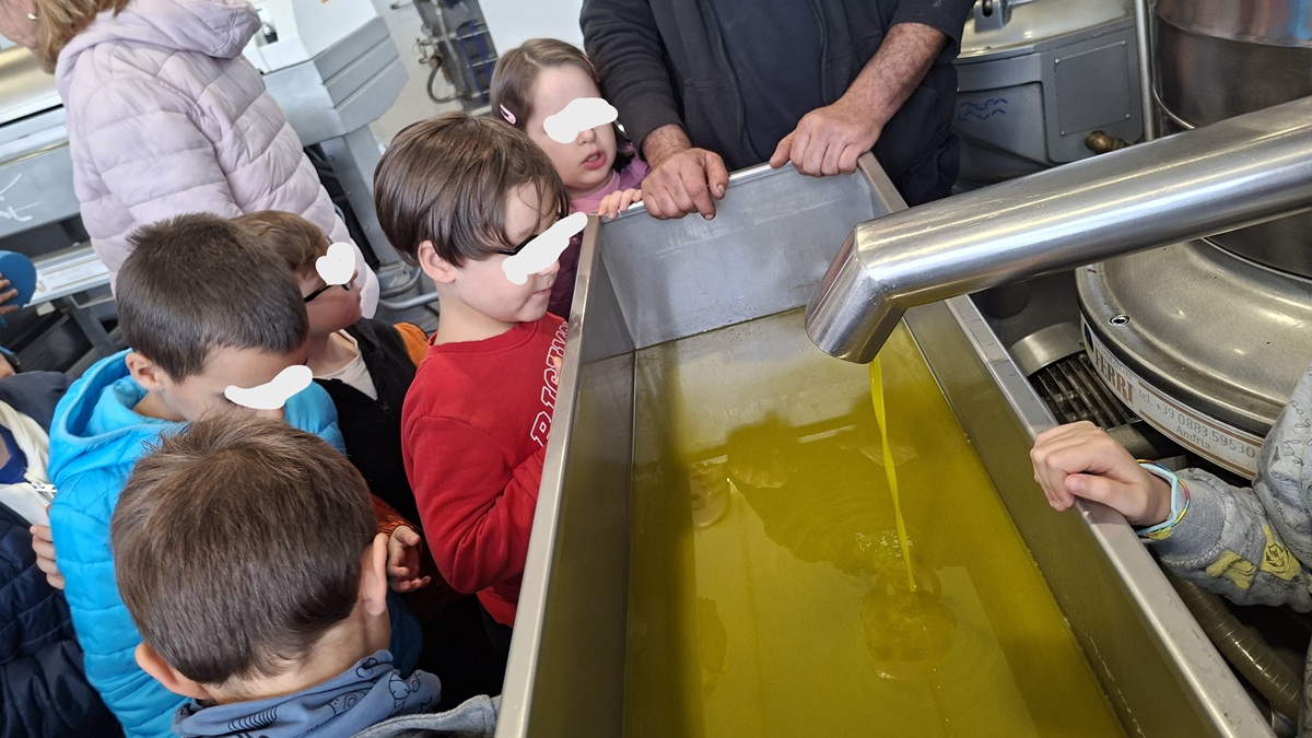 Alla scoperta dell’olio: una giornata al frantoio di Montorio nei Frentani
