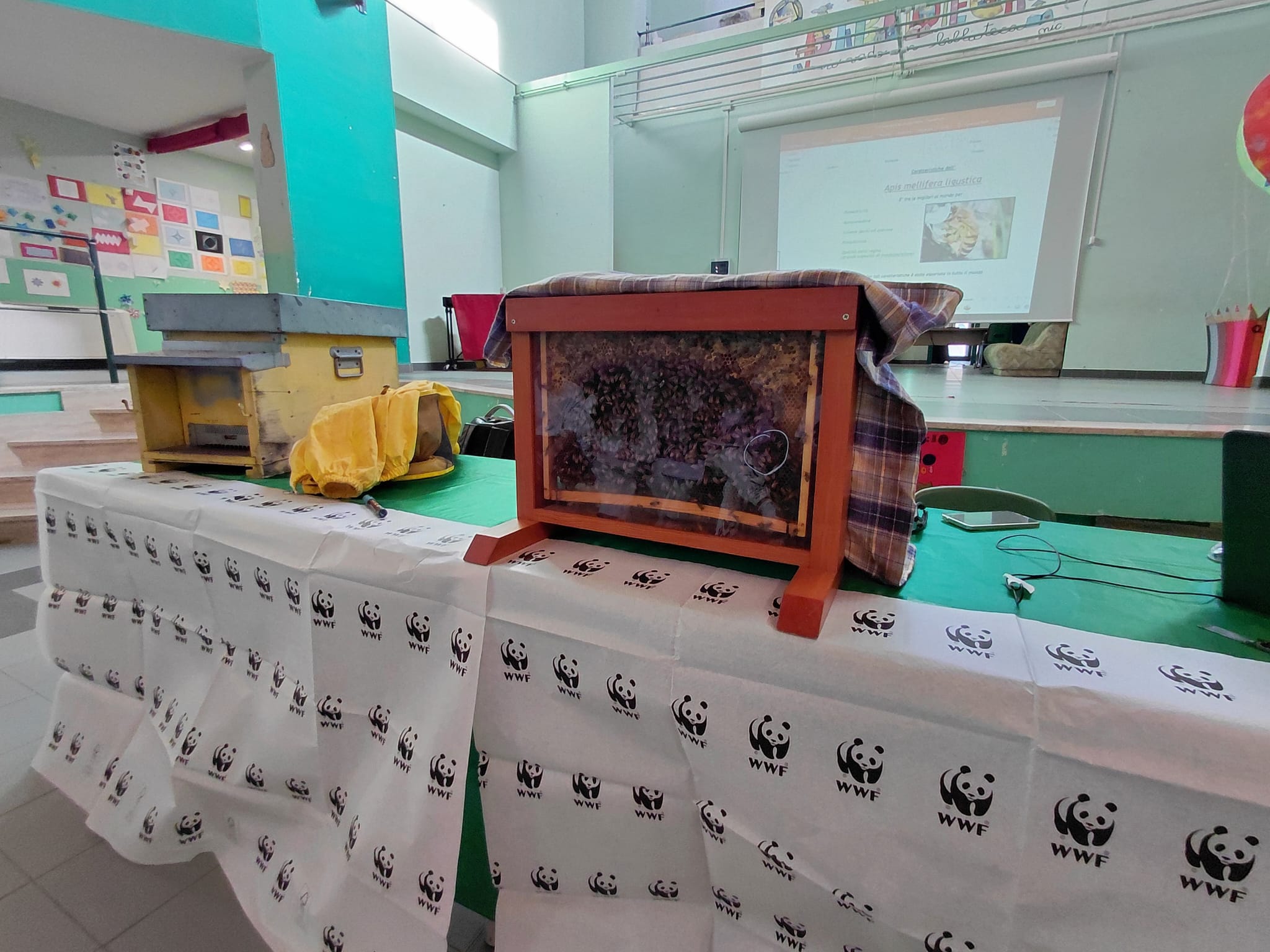 Urban Nature 2026: “La città delle api”, piccoli impollinatori, grandi alleati 🐝🌼